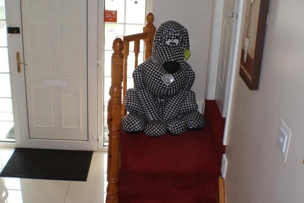 Eske Villa Bed And Breakfast Donegal Town Luaran gambar